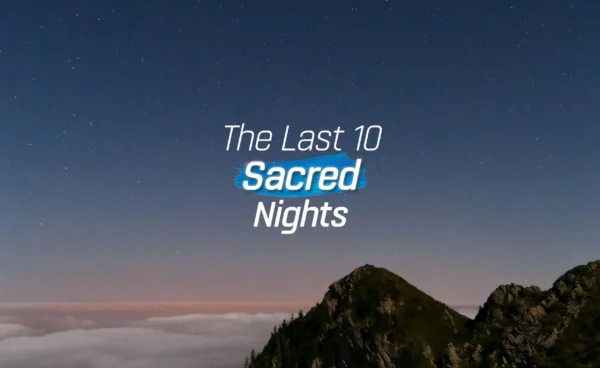 last-10-nights